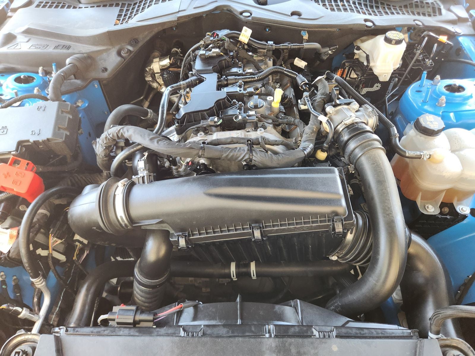 2024 Ford Mustang EcoBoost Fastback