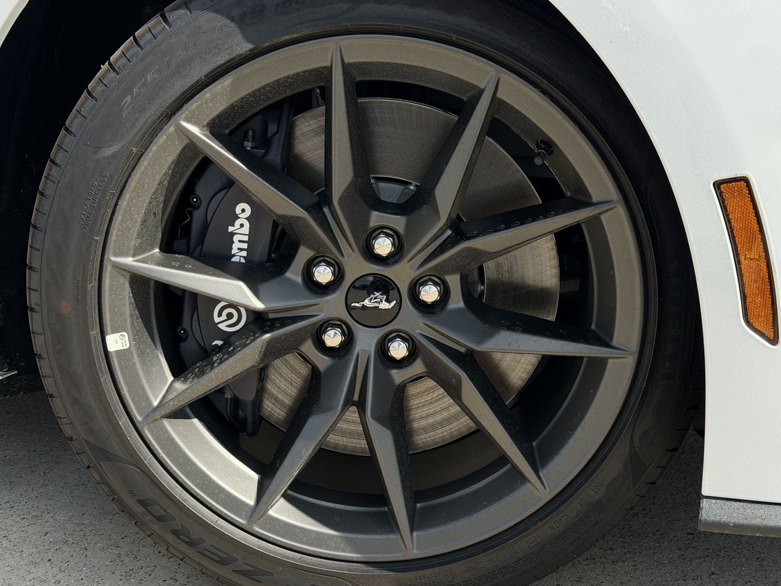 2026 Ford Mustang Dark Horse