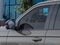 2026 Ford Expedition Tremor®