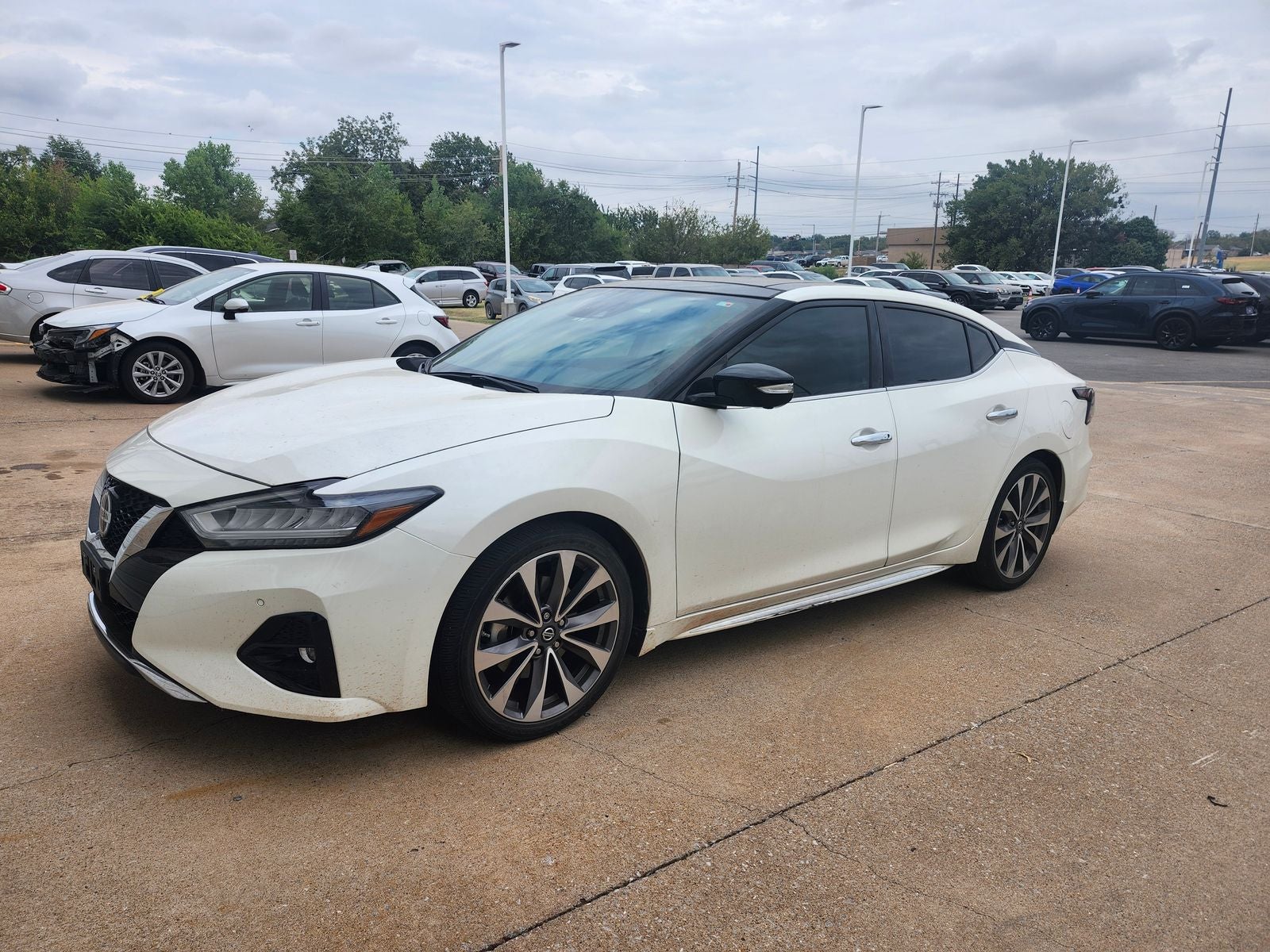 2019 Nissan Maxima Platinum