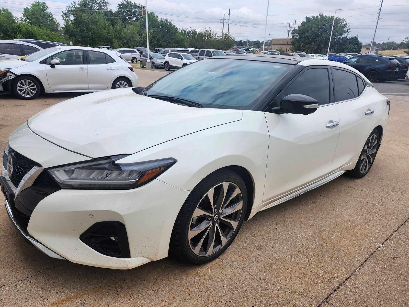 2019 Nissan Maxima Platinum