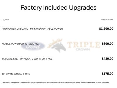 2025 Ford F-150 Lightning Flash