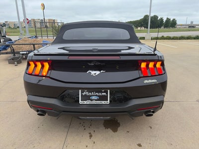 2024 Ford Mustang EcoBoost Premium