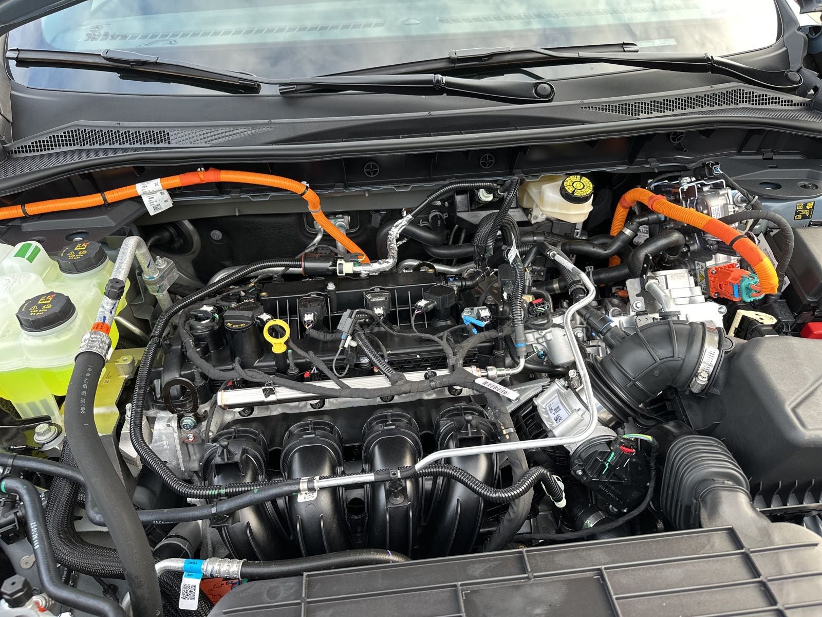 2025 Ford Escape Hybrid ST-Line