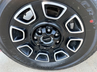 2025 Ford F-250SD Platinum