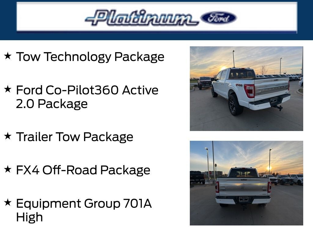 2021 Ford F-150 Platinum